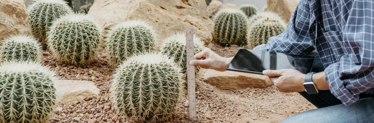 Insurance Requirements