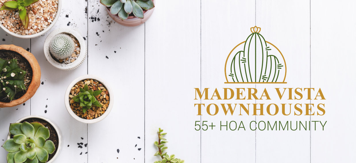 Potted cactus and succulent border flat lay with blank space